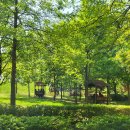 악양생태공원 이미지