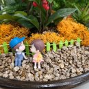 정원출장 이미지