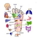 ■ 발바닥에 파스(Pas) 붙이면 나타나는 놀라운 효과 이미지