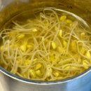 선비로2L 이미지