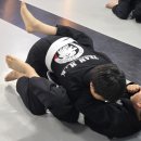 가온합기도 | MK가온 장유MK가온아카데미에서의 체험기