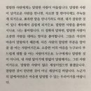 안전지대 이미지