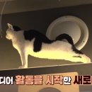 반장농장 이미지