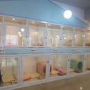 러블리독 - 달서구 장기로 70 | 러블리독