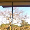 협재차경 별뉘 이미지