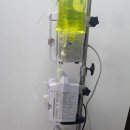 미키루키 이미지