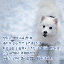 월 이미지