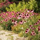 호숫가의 풍경 이미지