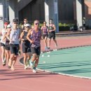 아르피아 이미지