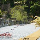 아우어캄푸스 이미지