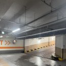 다산동 | 보떼브로우 다산동속눈썹연장 후기