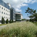 대구대학교 이미지