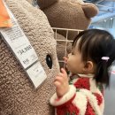 4000 | 임신 준비 영양제 추천 : 세비톨 미오이노시톨 콜린 4000 섭취 후기