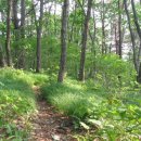 굴전마을 이미지