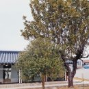 스테이은신희