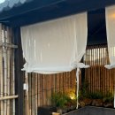 스테이더담 가곡 이미지