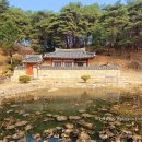 영주 천운정 티스토리