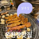 닭두꺼비 | 온천장 맛집 숯불닭갈비와 닭목살먹으러 닭두꺼비 방문후기