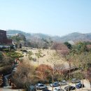 가톨릭대학교 이미지