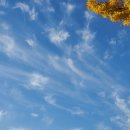 부산광역시 동구 중앙대로 332번길 이미지