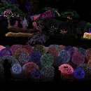 별빛정원B 이미지