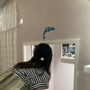 DAELIM | 페트라콜린스 전시 후기, 세계적인 여성 포토그래퍼의 fangirl 사진전 관람 포인트 - 대림미술관 무료 입장