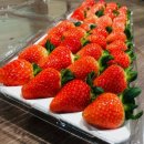 감로농장 이미지