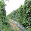 신암면011 이미지