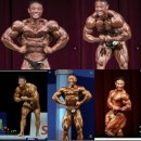 이두희 | 대한민국 보디빌딩 국가대표 김유경 선수님 등운동 루틴! (feat. 옐로우짐이곡본점)