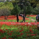 불갑사관광지 이미지