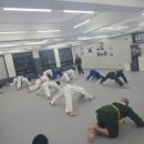 용인대 고강 유도 체육관 | 속초유도 기초체력부터 탄탄하게 다져주는 곳 용인대부흥유도체육관