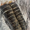 봄꽃길김밥