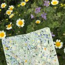 오일파스텔화 이미지