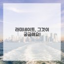 당신을위한치과의원 | 변화를 꿈꾸는 당신을 위한 솔직 담백, 라미네이트 이야기