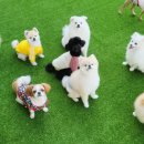 핸즈독(HANDSDOG) 이미지