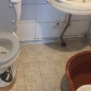 안집농장 이미지