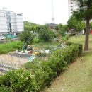 포항시북구77 이미지