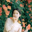 멀리건 이미지