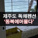 동복에 머물다 이미지