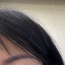 인아웃 광교눈썹