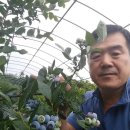 청화농원 이미지