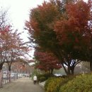 과천역 6번 출구 이미지