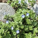 양지꽃펜션 | 강구항펜션 무지개a.b방 커텐 달았어요