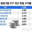 동일 이미지