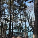 트리캠핑장 | 인천 바다뷰 캠핑장 선재도 트리캠핑장 후기 명당자리 추천 바다데크 가는 길