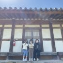 담양통닭 이미지