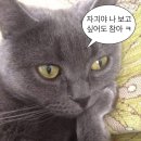 2우 이미지