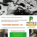 블루피아 이미지