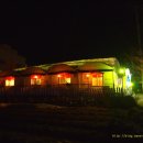 청개구리(삼남) 이미지