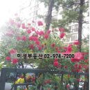 미성아파트 이미지
